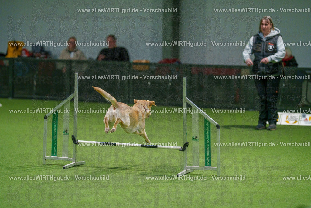 7R504578 | Professionelle Tierfotografie in Mönchengladbach von Daniel Wirth (allesWIRTHgut). Liebevolle & natürliche Bilder von Hunden & Katzen für unvergessliche Erinnerungen.