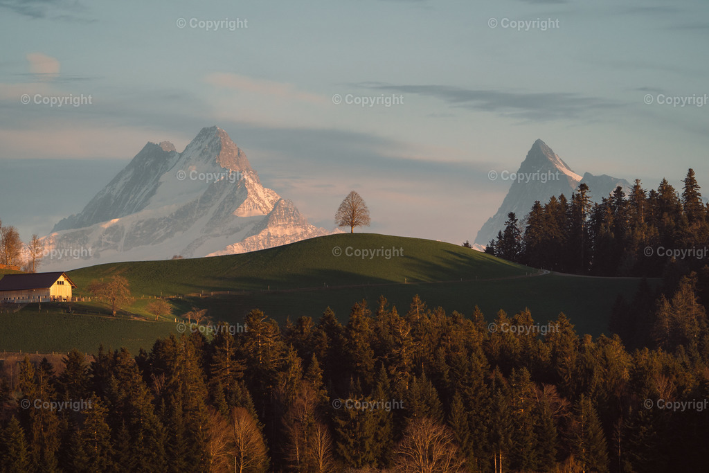 Sumiswald3 | yannikbuholzer - Realisiert mit Pictrs.com