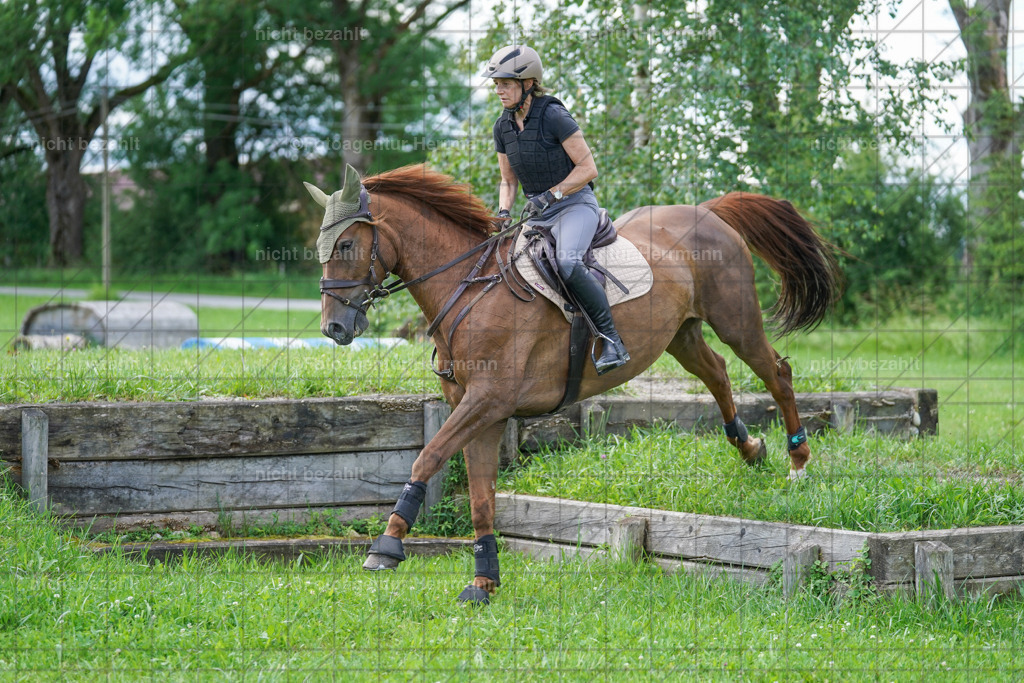 20240622-FAH06999 | Turnierfotografen Bayern, Reitsportbilder aus dem Geländekurs mit Felix Etzel auf dem Gut Waitzacker 2024