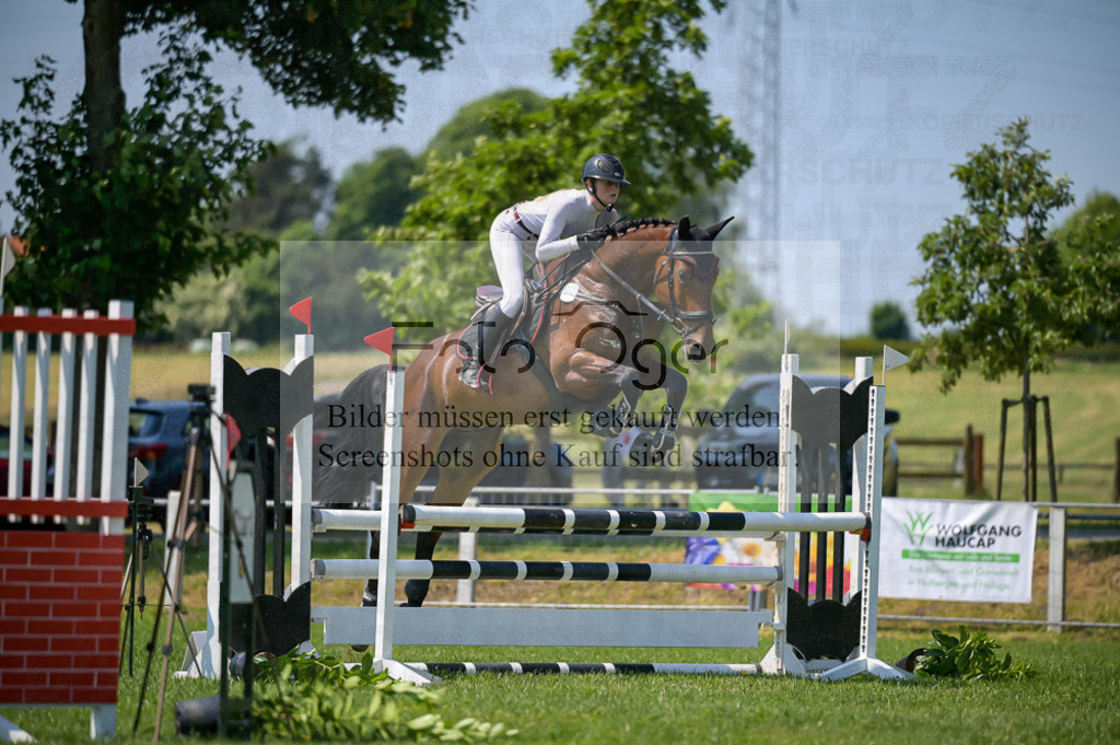 Reitturnier Voxtrup | Entdecke hochwertige Reitturnierfotos von Foto Oger. Professionell, emotional und authentisch – jetzt Lieblingsmomente im Shop bestellen.Deutschlandweite Turnierfotografie. - Realisiert mit Pictrs.com
