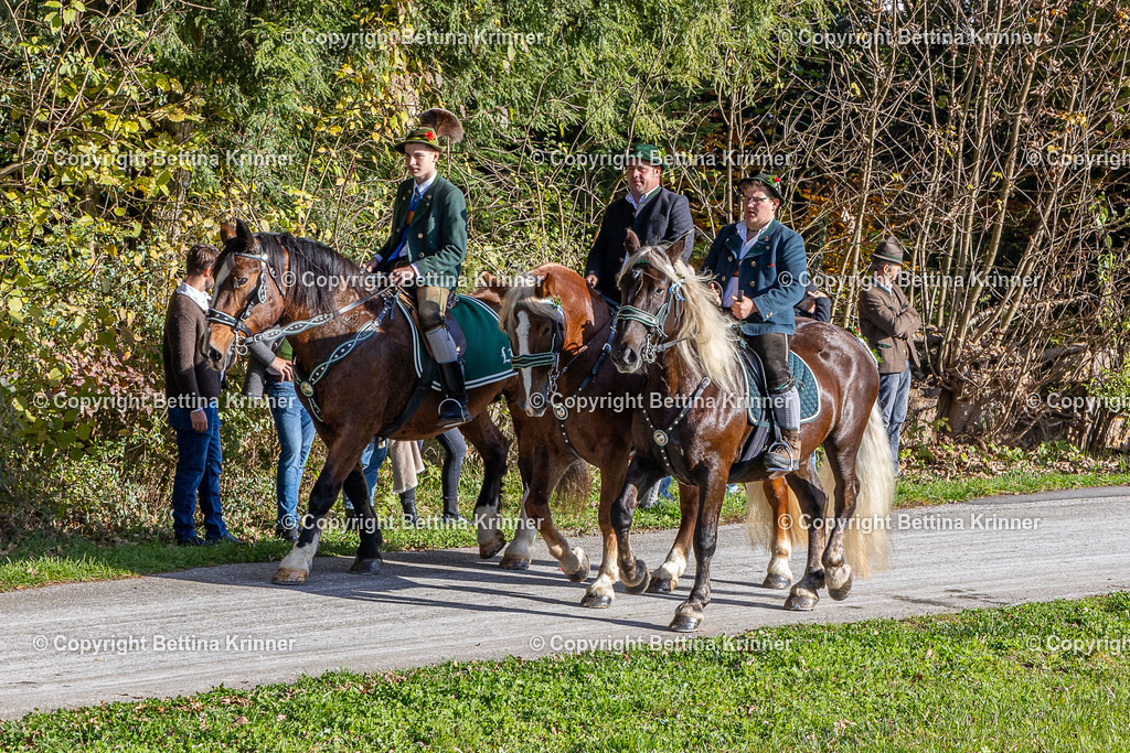 LBT24-569 | foto-bettina-krinner - Realisiert mit Pictrs.com