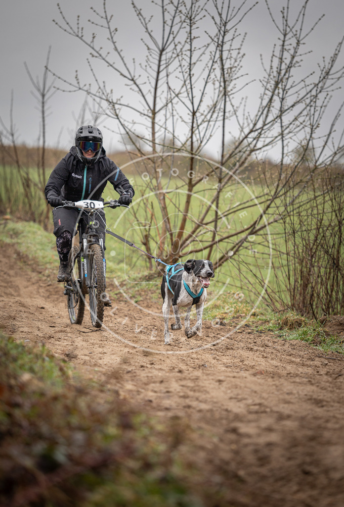 DV3A9099 | Hundefotografie, Tierfotograf, Pfotenfotografie, Fotoshooting Hund, Hunde Portrait, Hundesport, Hundeportraits, Heideshooting, Hunde, Sportfotograf, Hundefotograf, Turnierhundsport, THS,  - Realisiert mit Pictrs.com