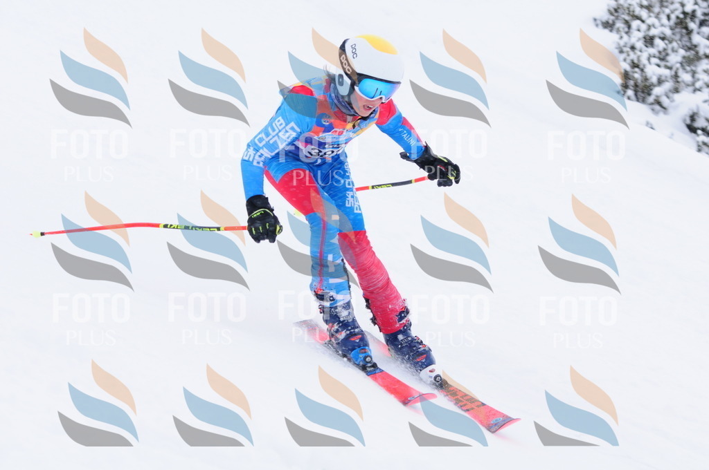 C4061 | holidayphoto