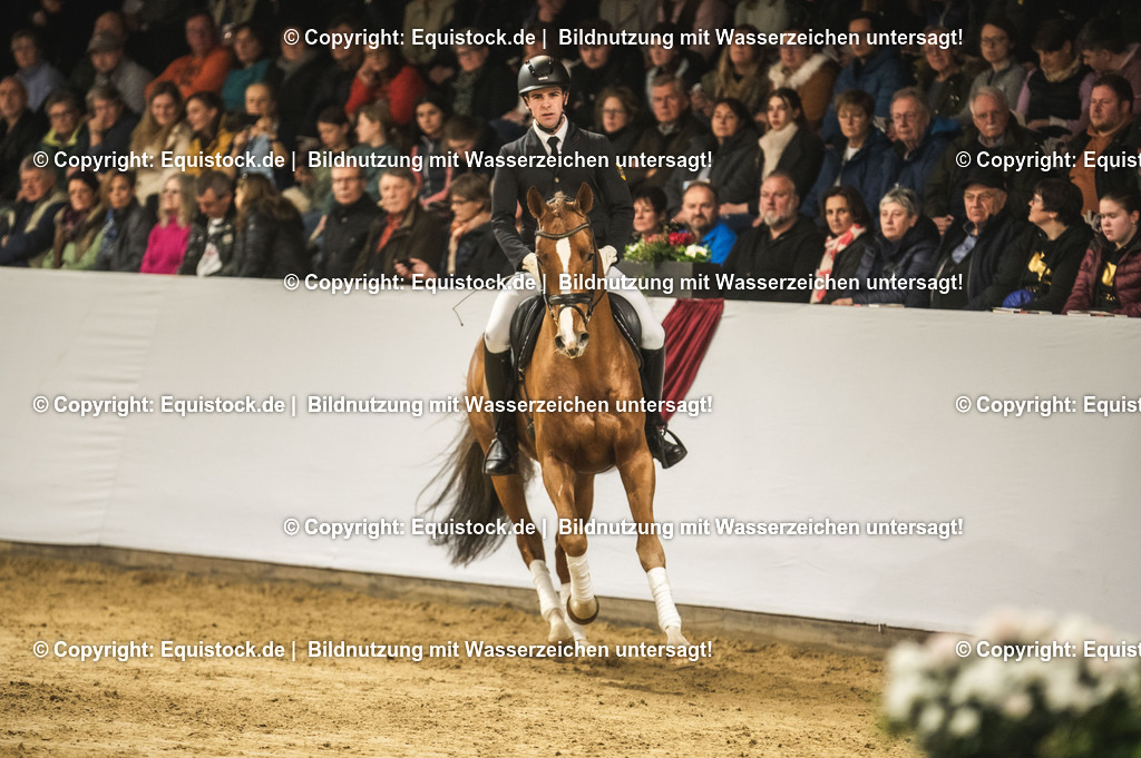 20240302_Hengstvorstellung_Marbach_TOMsPiC_0346-2 | equistock