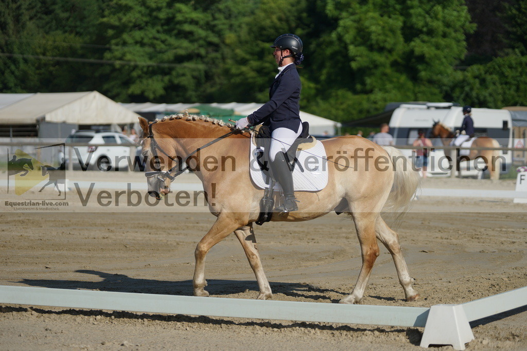 DSC04133 | equestrian-live-com