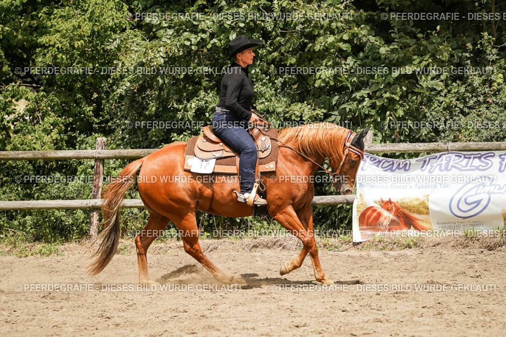 DSC00599 | Pferdegrafie