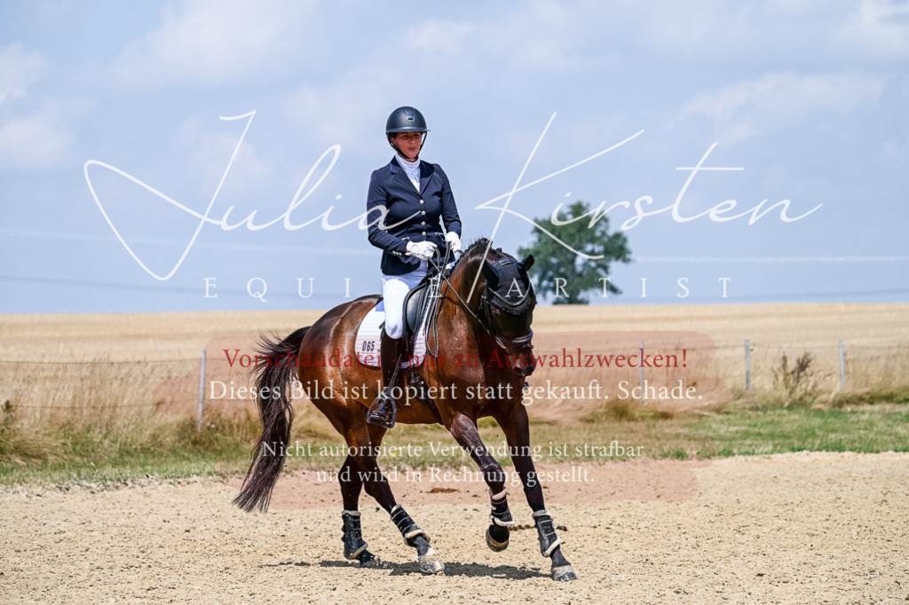 DSC_2694 | Pferde- und Turnierfotografie in Westsachsen. Pferdeportraits, Auftragszeichnungen und intuitive Kunst.