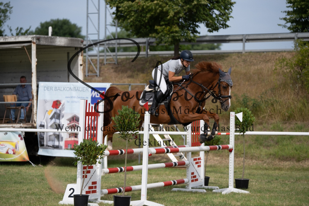 A7V01410 | Pferdefotograf