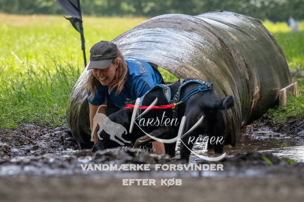 1151_ZZ94865 | kk-dogfotos