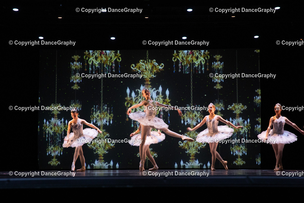 GPHY6944 | DanceGraphy - Realisiert mit Pictrs.com