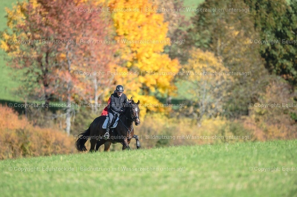 20251011_Jagd-Marbach_0332 | Foto: Thomas Hartig