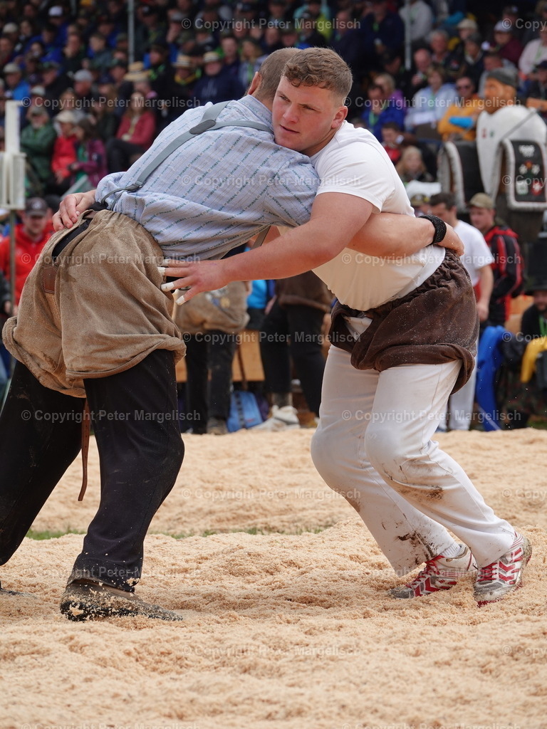 DSC08006 | Schwingen - Realisiert mit Pictrs.com