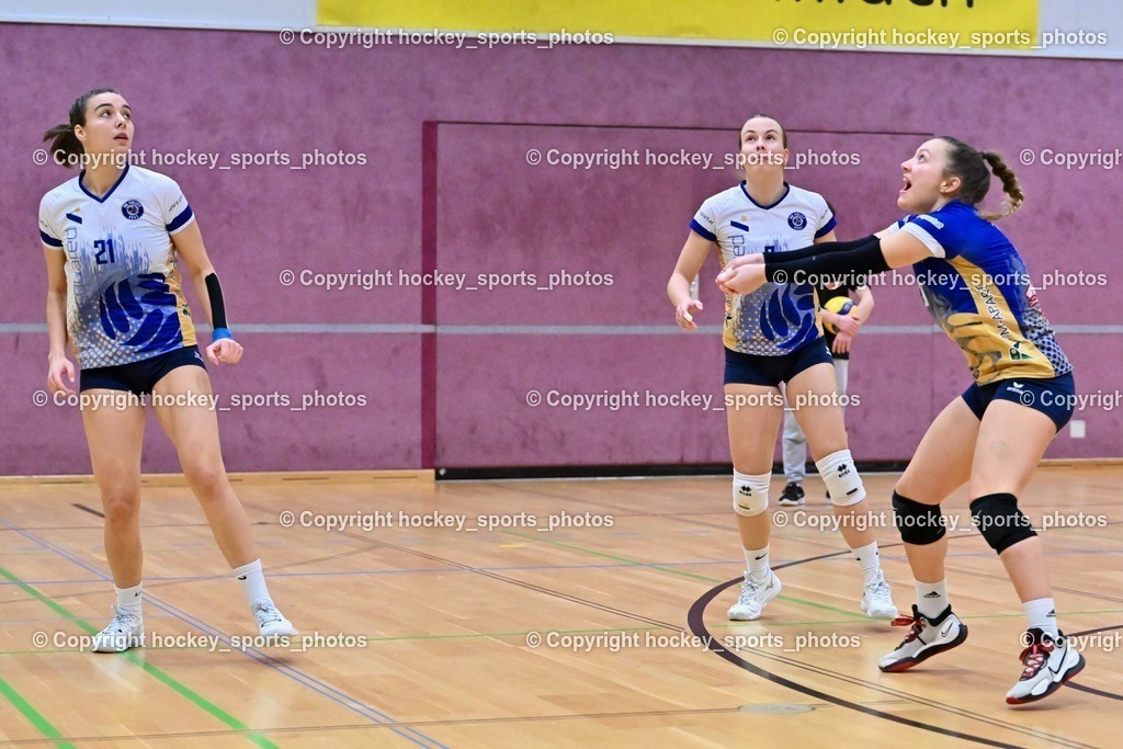 ASKÖ Volley Eagles vs. SSV HIB Volley 21.1.2024 | hockey sports photos, Pressefotos, Sportfotos, hockey247, win 2day icehockeyleague, Handball Austria, Floorball Austria, ÖVV, Kärntner Eishockeyverband, KEHV, KFV, Kärntner Fussballverband, Österreichischer Volleyballverband, Alps Hockey League, ÖFB, 