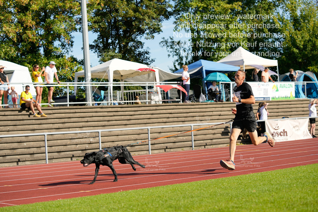 Sonntag_Staffel (265 von 336) | stephaniefillaphotographie - Realisiert mit Pictrs.com