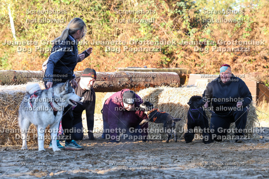 Dog Paparazzi - Strongdog 10-25-754 | Dog Paparazzi Jeanette Grottendiek Fotografie & Videografie - Realisiert mit Pictrs.com