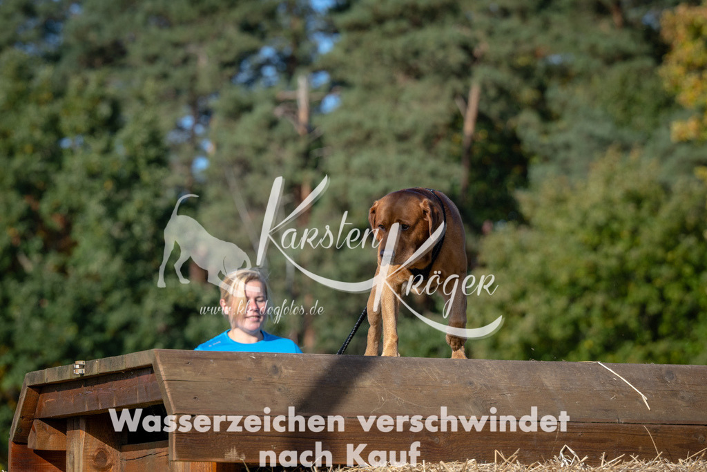 1049_ZZ91619 | kk-dogfotos