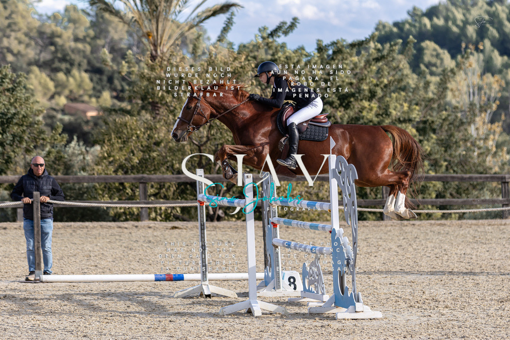 IMG_0411 | s-jay-photography - Realisiert mit Pictrs.com