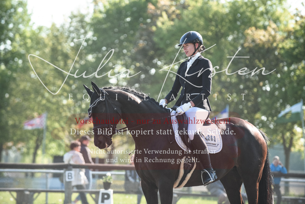 DSC_8401 | Pferde- und Turnierfotografie in Westsachsen. Pferdeportraits, Auftragszeichnungen und intuitive Kunst.