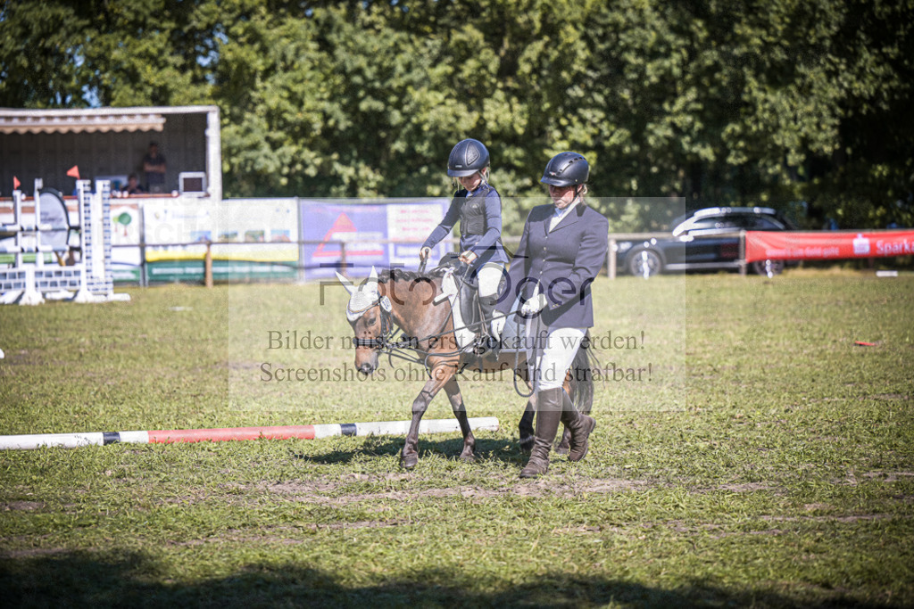 DOS_0070 | Entdecke hochwertige Reitturnierfotos von Foto Oger. Professionell, emotional und authentisch – jetzt Lieblingsmomente im Shop bestellen.Deutschlandweite Turnierfotografie. - Realisiert mit Pictrs.com