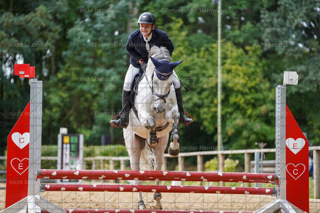 20231008-SN_01145 | Professionelle Turnier- und Reitsportfotografie - mit dem Finger am Auslöser. Pferdebilder aus dem Reitsport von den Turnierfotografen  Bayern , Pferdefotograf Bayern, Pferdeshooting Turnierbilder, Hochzeitsfotograf, Eventfotograf, Hochzeitsbilder