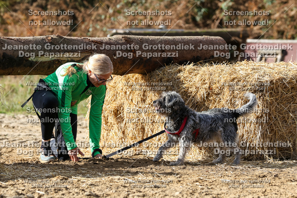 Dog Paparazzi - Strongdog 10-25-5257 | Dog Paparazzi Jeanette Grottendiek Fotografie & Videografie - Realisiert mit Pictrs.com