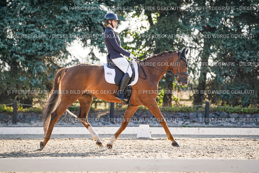 DSC08651 | Pferdegrafie