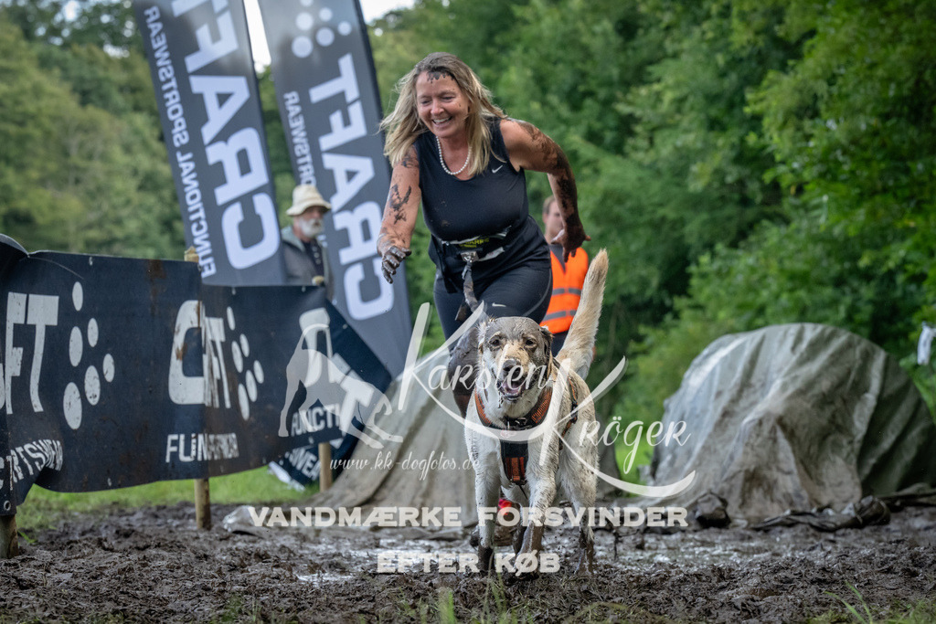 1151_ZZ94602 | kk-dogfotos