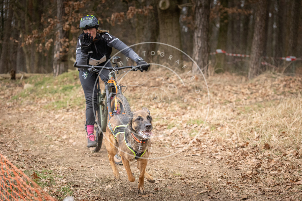Pfotenfotografie_DV3A1809 | Hundefotografie, Tierfotograf, Pfotenfotografie, Fotoshooting Hund, Hunde Portrait, Hundesport, Hundeportraits, Heideshooting, Hunde, Sportfotograf, Hundefotograf, Turnierhundsport, THS,  - Realisiert mit Pictrs.com