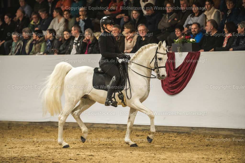 20240302_Hengstvorstellung_Marbach_TOMsPiC_1077 | equistock