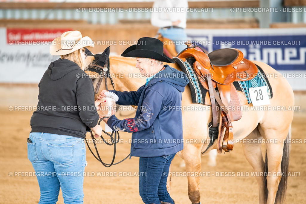 DSC02500 | Pferdegrafie