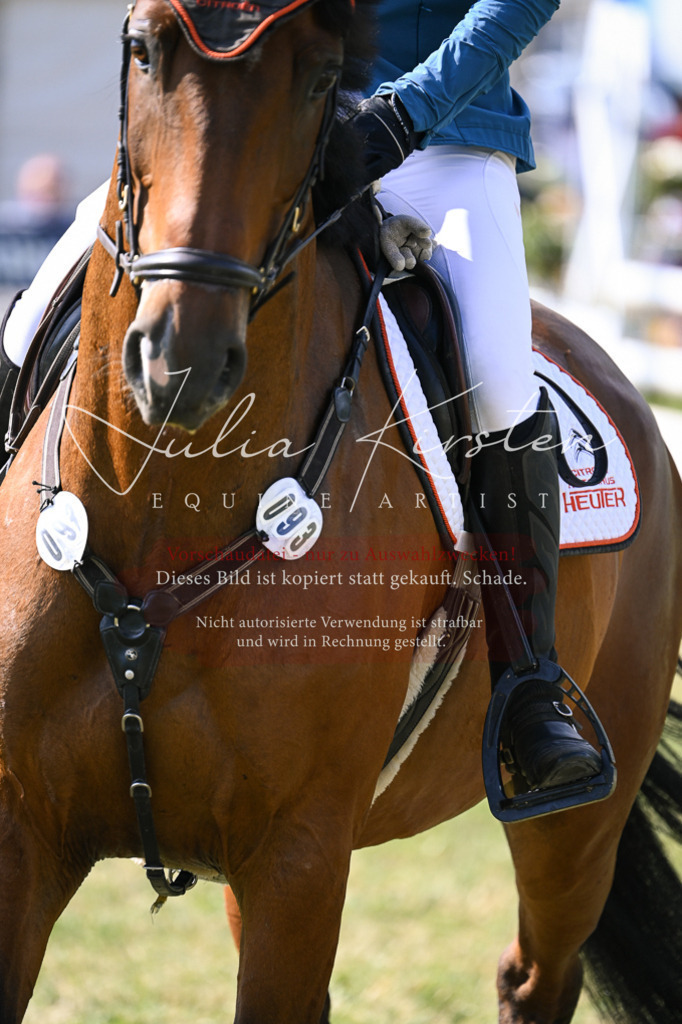 DSC_1124 | Pferde- und Turnierfotografie in Westsachsen. Pferdeportraits, Auftragszeichnungen und intuitive Kunst.