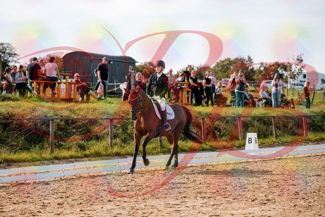 2026_10_03_Siefer-Hof_131049_Z63_74259681 | Professionelle Reitsport-, Turnier- und Eventfotografie von Robert Broda. Galerien mit ausgewählten und bearbeiteten Bildern direkt online ansehen und bestellen.