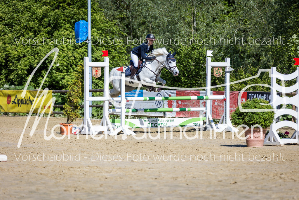 Donop24-A2Spr-158 | MomenTaufnahmen Pferdesportfotos