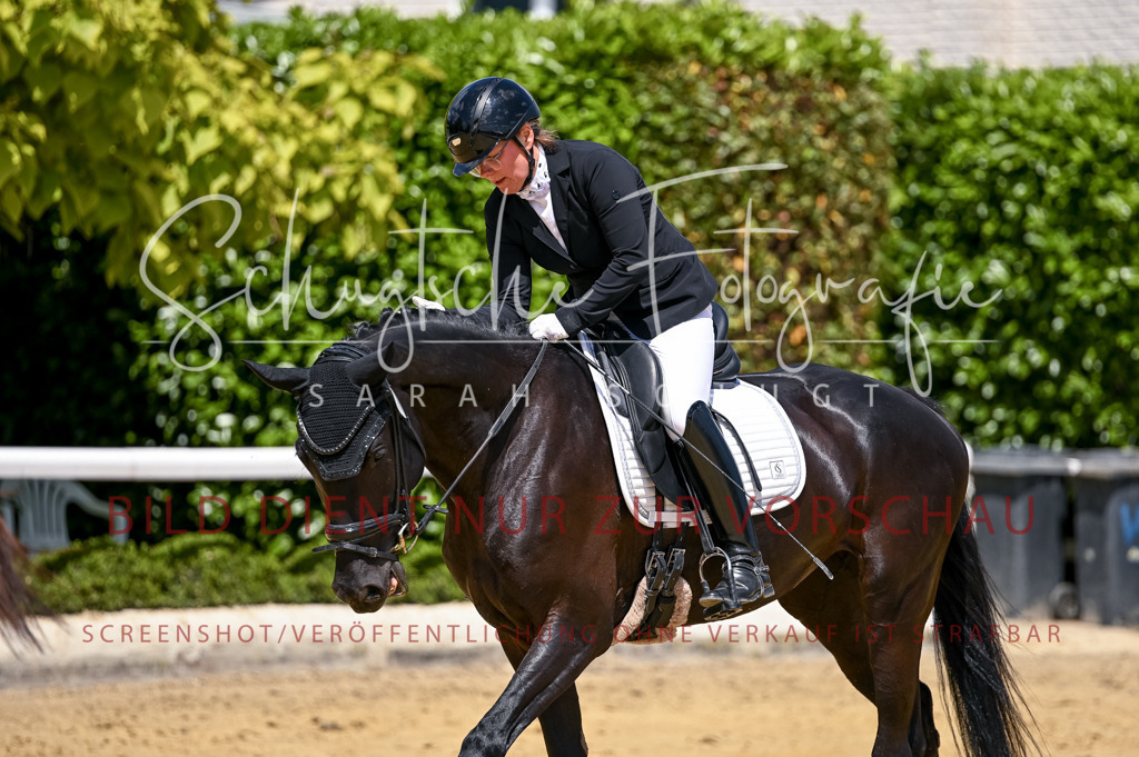 Schugtsche-Aluta25-49.Dressurpferdeprf.A-79 | Schugtsche Fotografie - Realisiert mit Pictrs.com