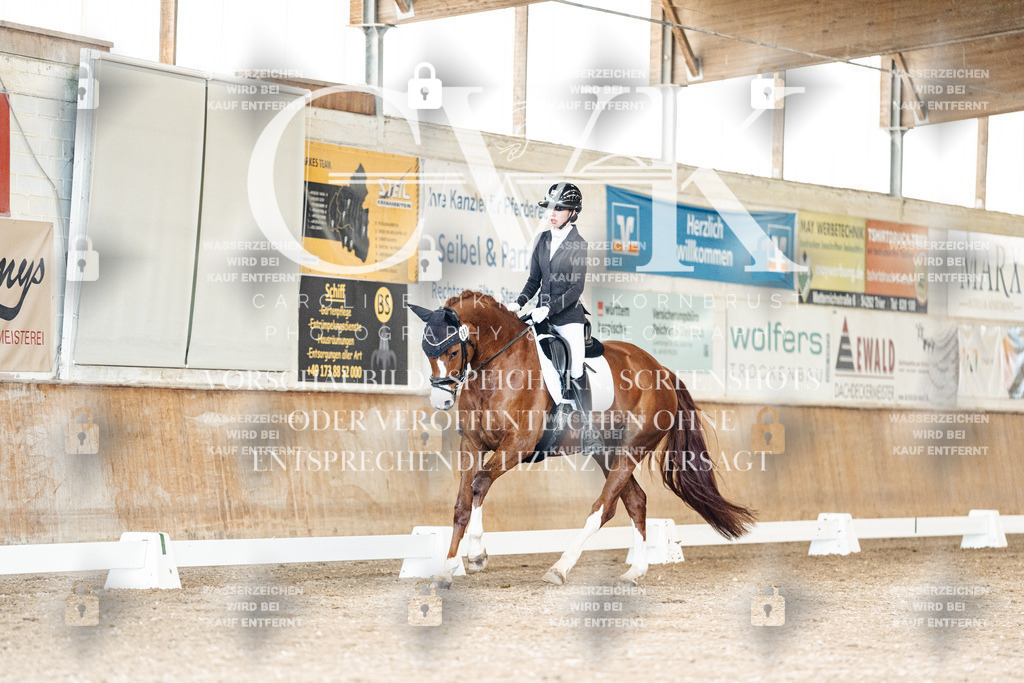 CK901304 | Turnierfotografie Pferdefotografie Trier Rheinland-Pfalz Pferdesport Reitsport Tierfotografie Sportfotografie Pferdevideo Pferdevideografie Equestrianvideography equestrianphotography  - Realized with Pictrs.com