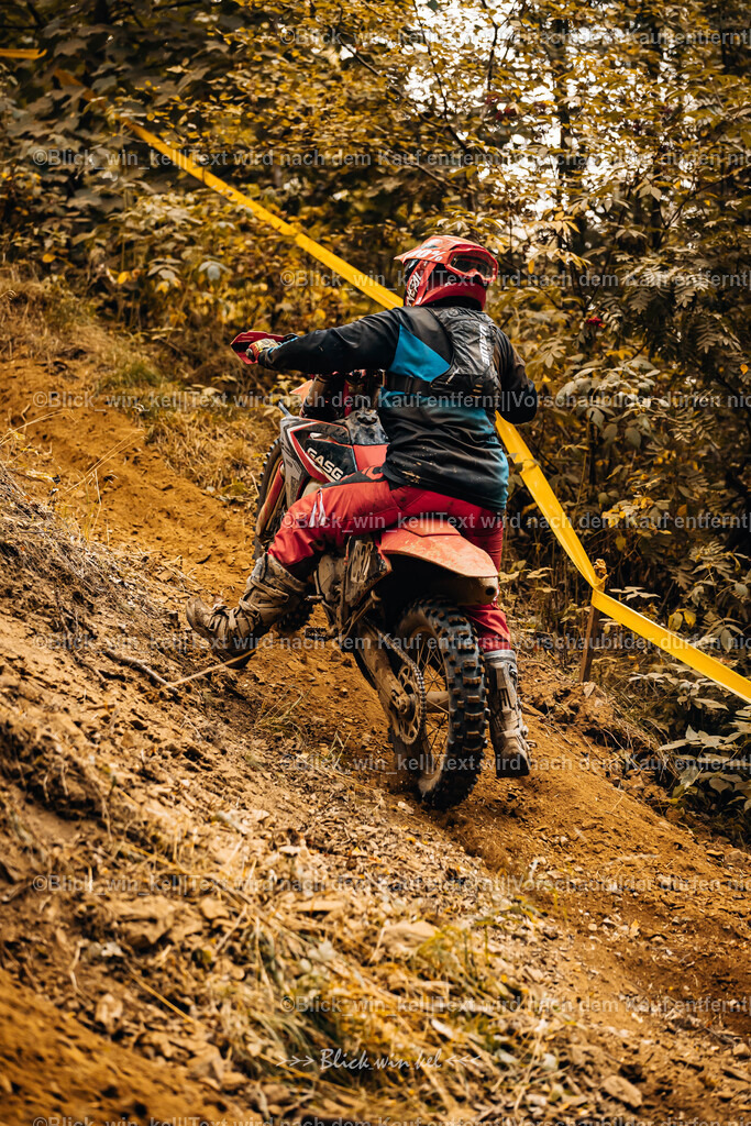 E68A4223 | blick_win_kel