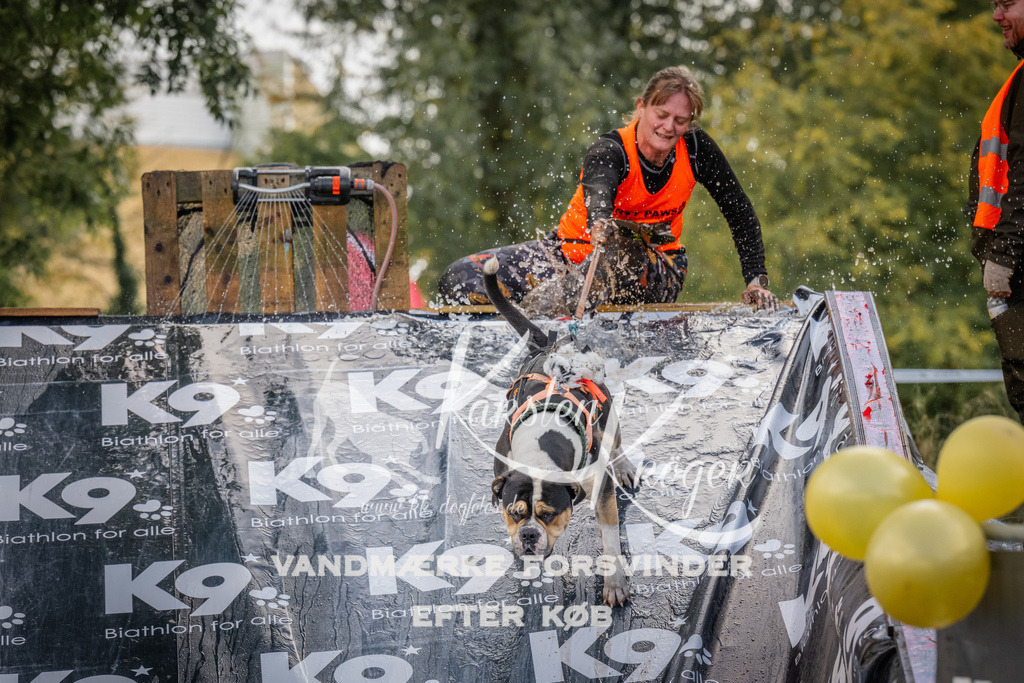 1517_ZZ94322 | kk-dogfotos