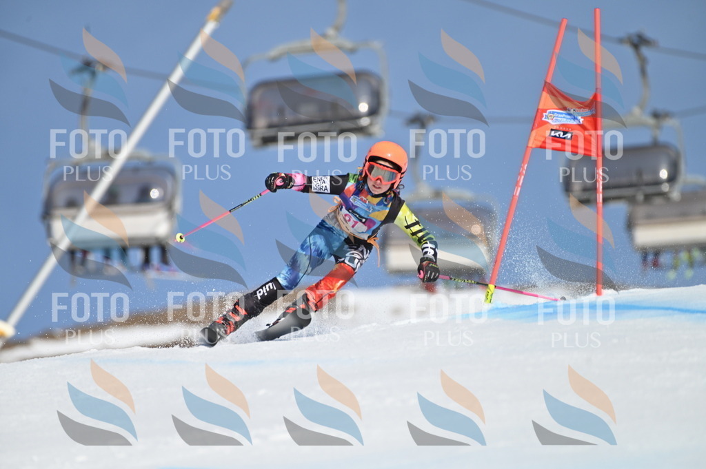 BGV_8733 | holidayphoto