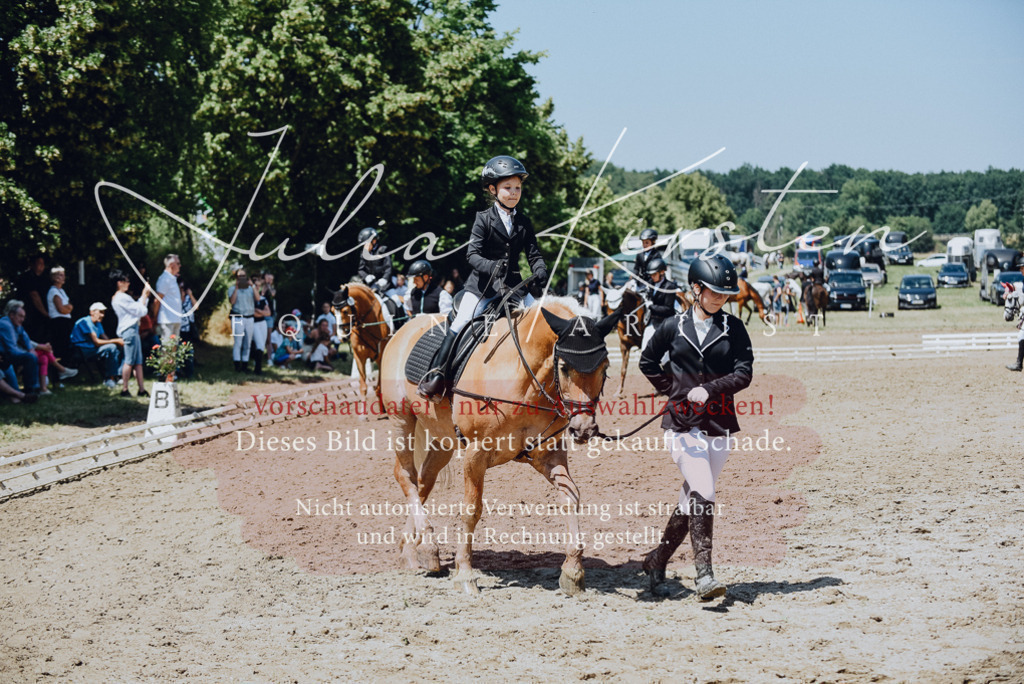 DSC_2452 | Pferde- und Turnierfotografie in Westsachsen. Pferdeportraits, Auftragszeichnungen und intuitive Kunst.