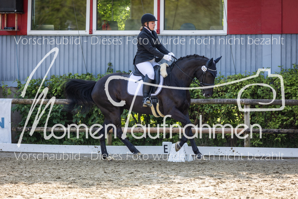 Donop24-A2-Dre-047 | MomenTaufnahmen Pferdesportfotos