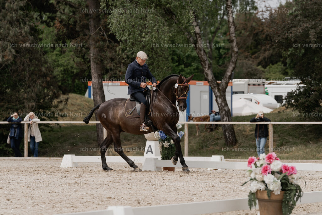 WE_DR_Stoib_320_PI2025_320 | Pferd International München 2025