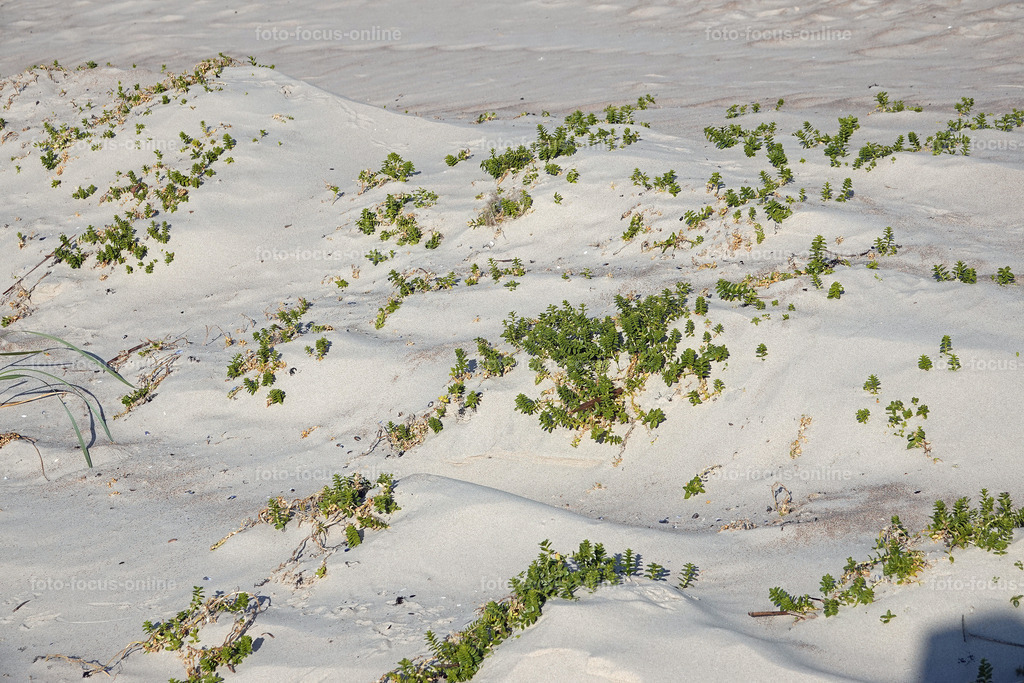 Beach attracts with unusually white and fine sand | foto-focus-online