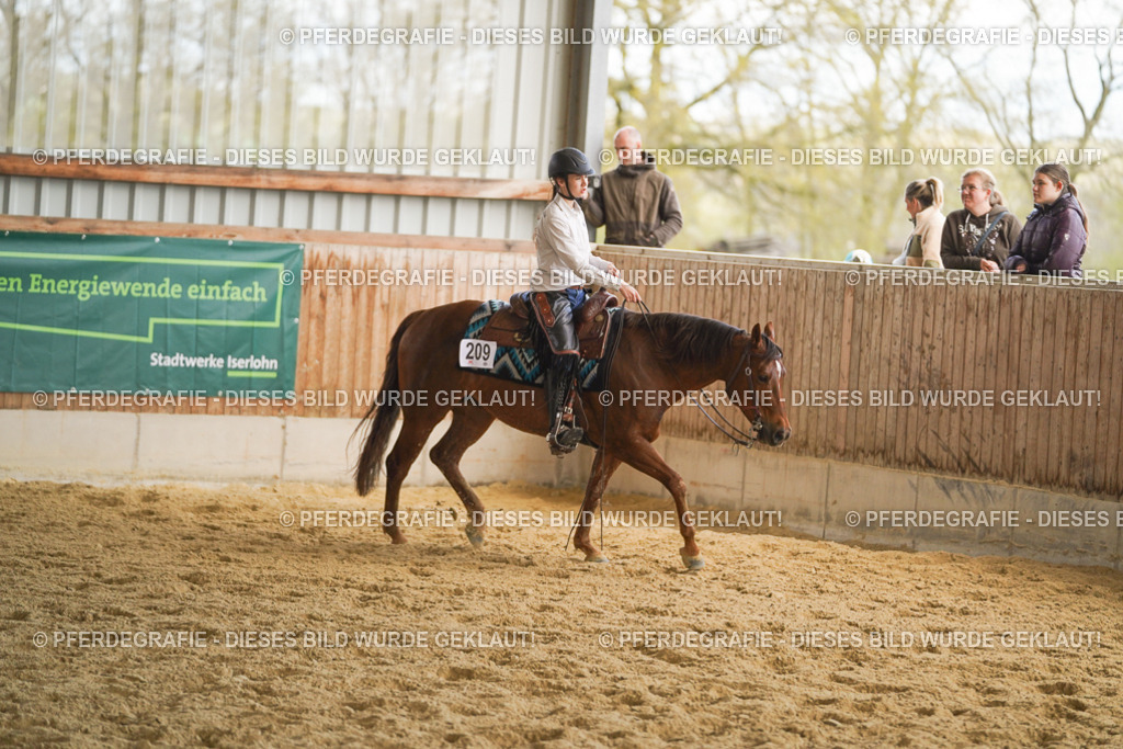 DSC08797 | Pferdegrafie