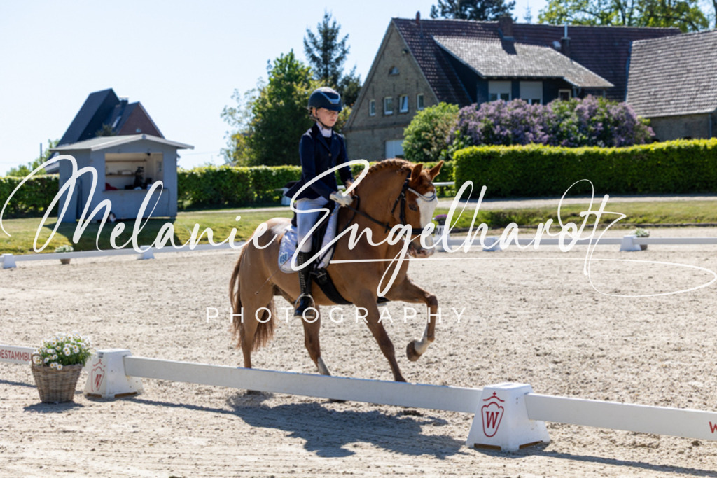 7I8A1832 | melanie-engelhardt-photography - Realisiert mit Pictrs.com