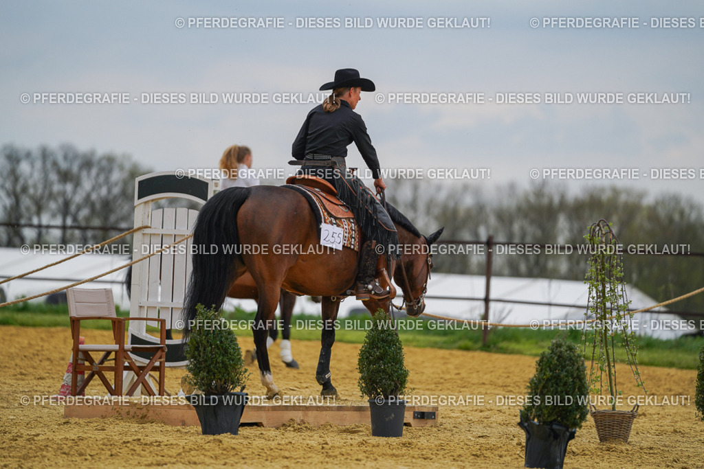 DSC07670 | Pferdegrafie