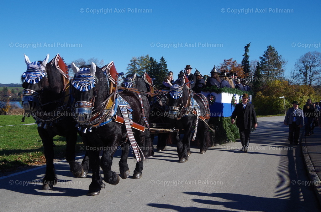 IMGP7832 | fotografiert von Axel PollmannLeonhardi Wallfahrt Benediktbeuern und Murnau, Fronleichnam, Fasching, Landschaft im Loisachtal und Benediktbeuern  - Realisiert mit Pictrs.com