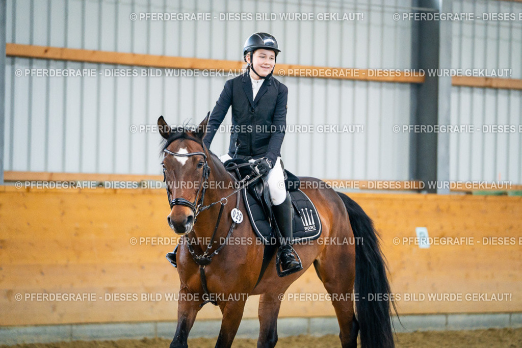 DSC00649 | Pferdegrafie