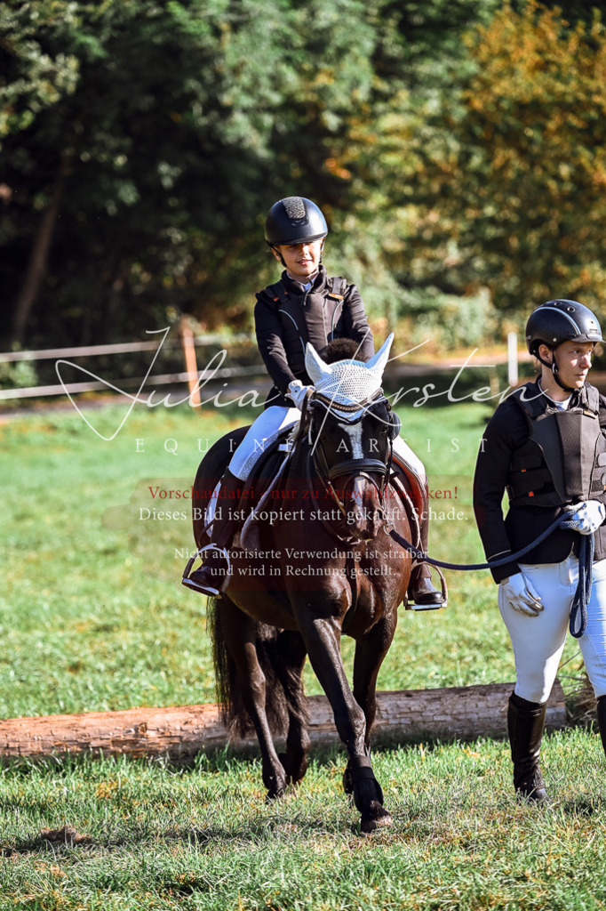 DSC_0358 | Pferde- und Turnierfotografie in Westsachsen. Pferdeportraits, Auftragszeichnungen und intuitive Kunst.