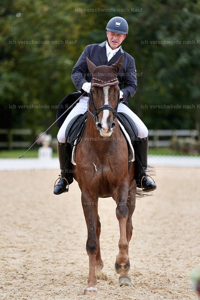 11-092-Dressur S___-Marixx-1612 | working equitationturnier fotograf videograf stoibphotography marixx film working equitation deutschland reitsport turnierfotografie eventfotografie equestrian events