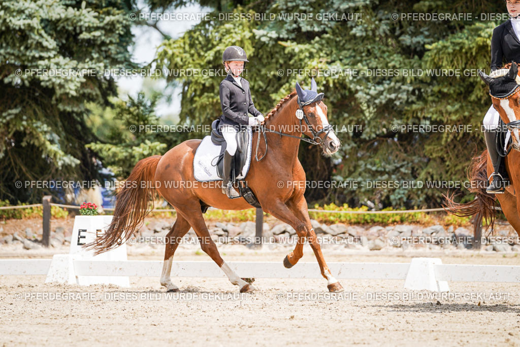 DSC03345 | Pferdegrafie